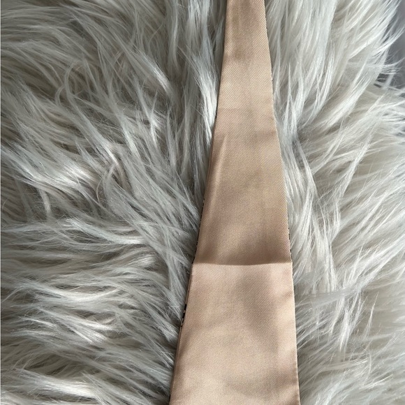 Authentic Christian Dior Twilly - Picture 8 of 12